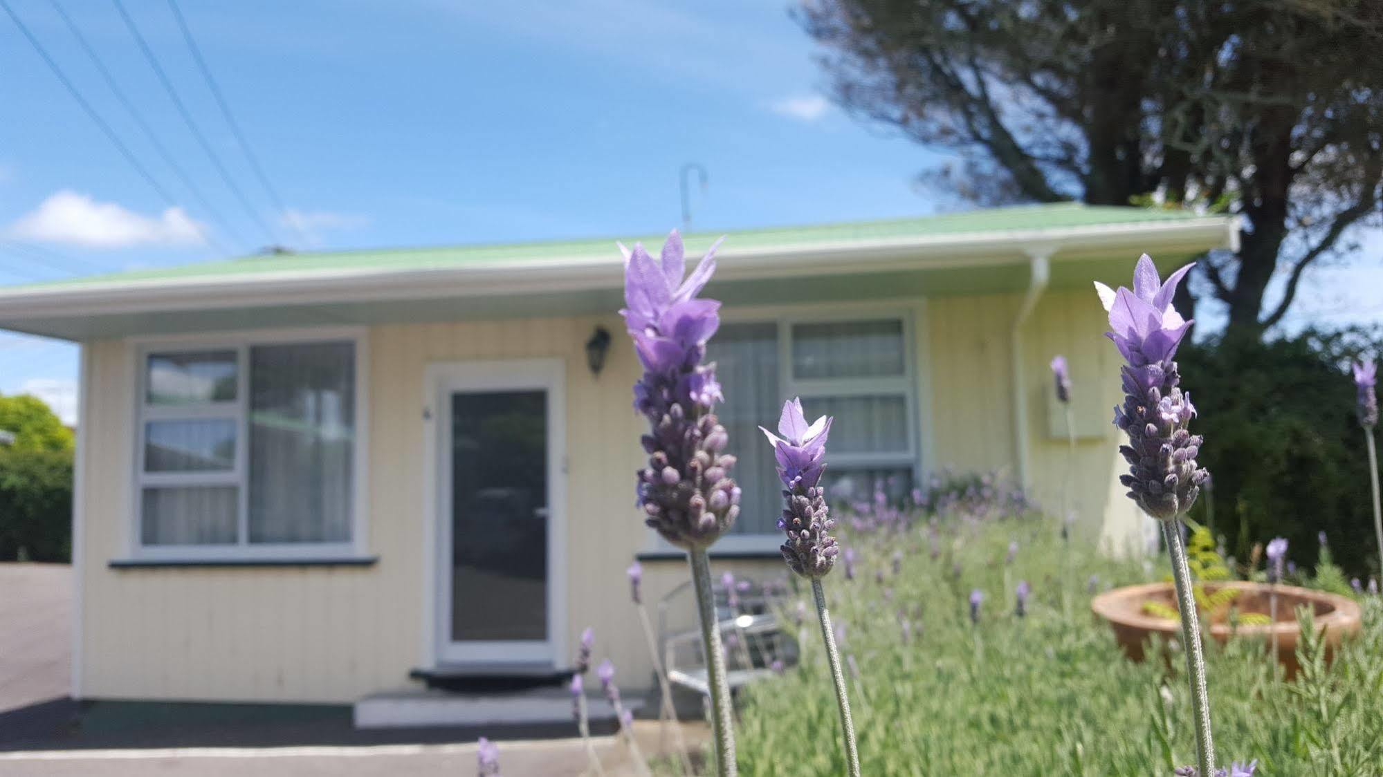 Timandra Motel New Plymouth Luaran gambar
