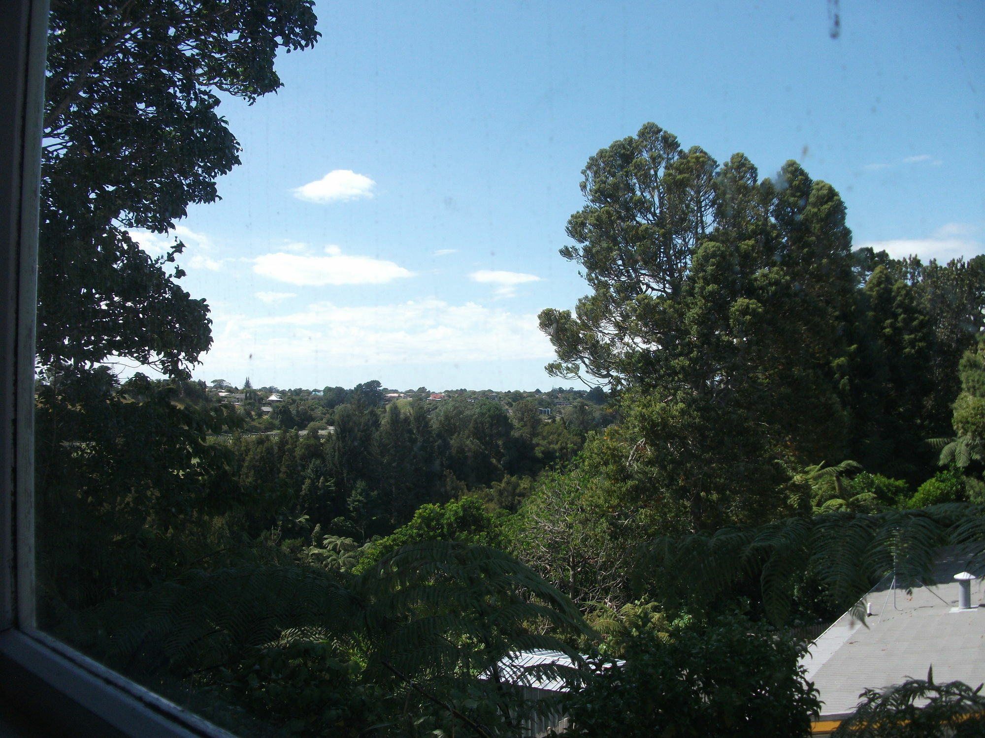 Timandra Motel New Plymouth Luaran gambar