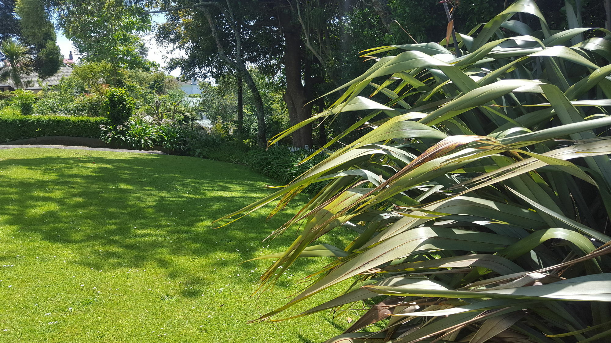 Timandra Motel New Plymouth Luaran gambar